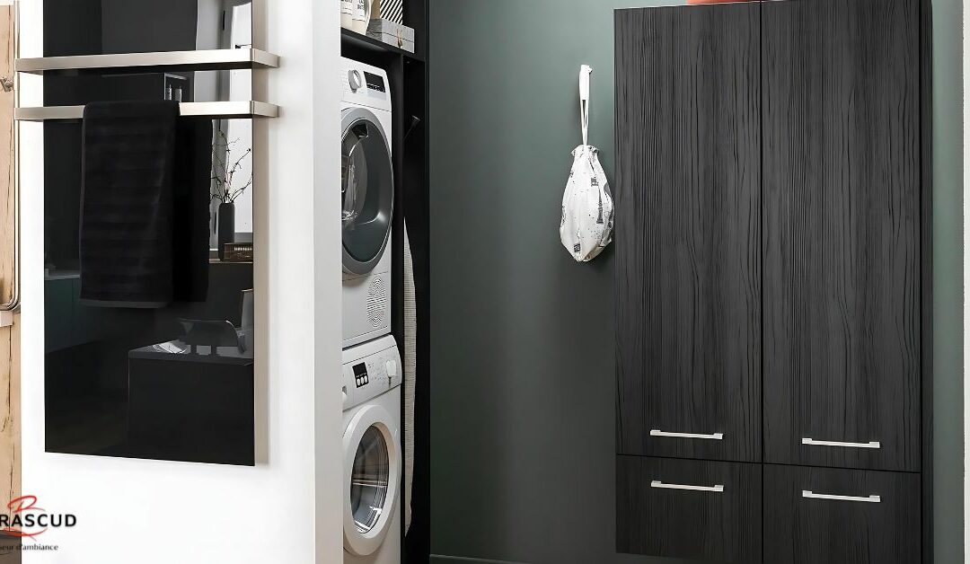 Barascud - buanderie avec son partenaire Mobalpa