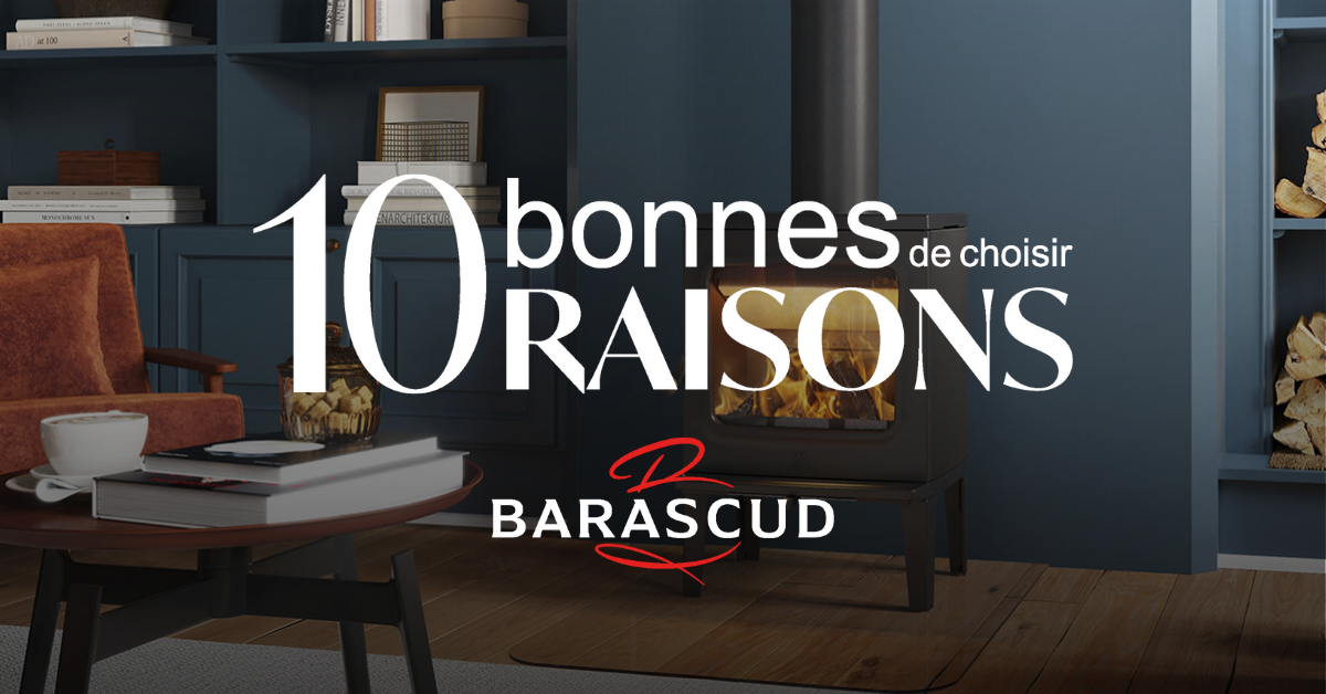 10 bonnes raisons de choisir Barascud pour votre projet
